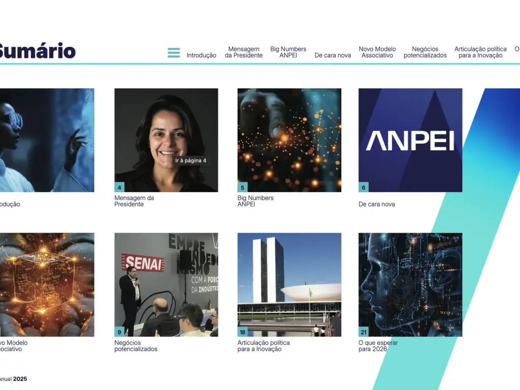 Sumário do Relatório Anual 2025 da ANPEI